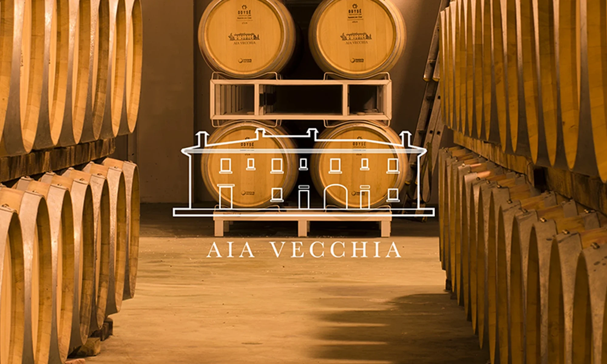 Aia vecchia bolgheri