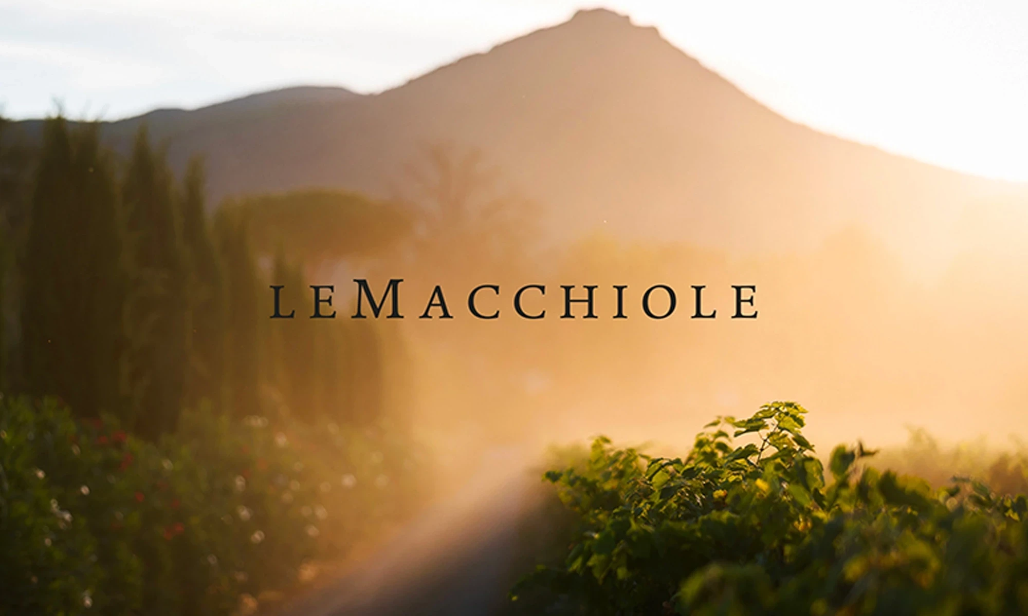 Le macchiole